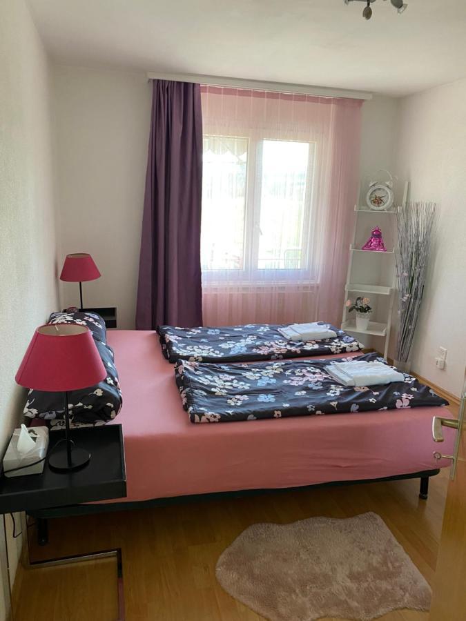 Grosszugige Ferienwohnung Eschenz Exteriér fotografie